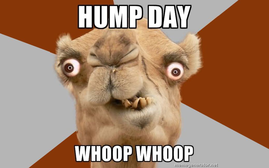 33 Happy Hump Day Meme Wishes And Images Preet Kamal