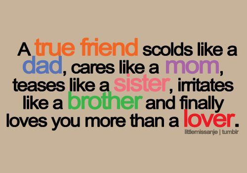 A True Friend Scolds True Friendship Quotes