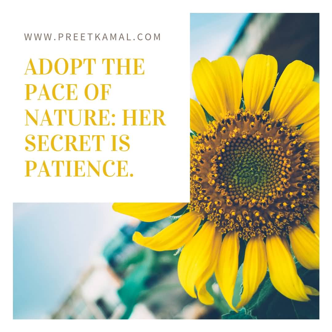 Adopt The Pace Of Short Nature Quotes