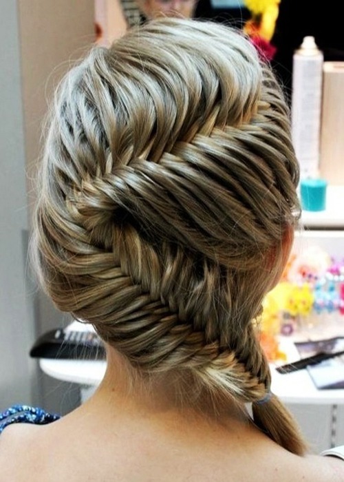 Classic fishtail Braid Hairstyle