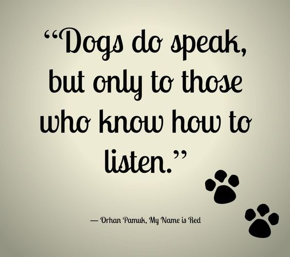 Dogs Do Speak But Amazing Quotes