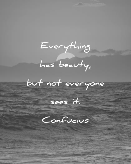 Everything Has Beauty But Beauty Quotes