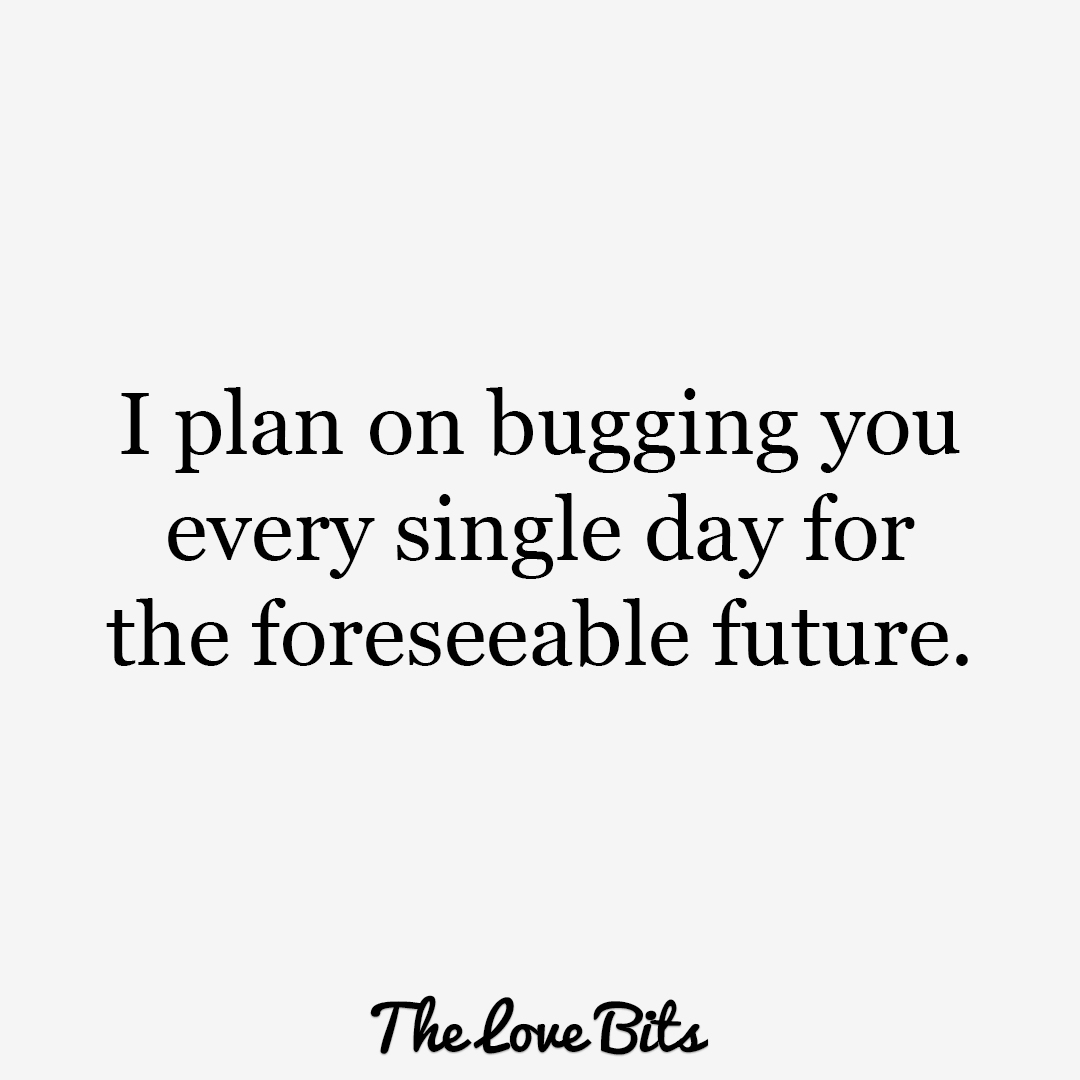 I Plan On Bugging You Cute Love Quotes