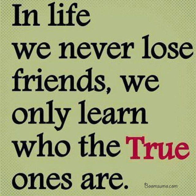 In Life We Never True Friendship Quotes