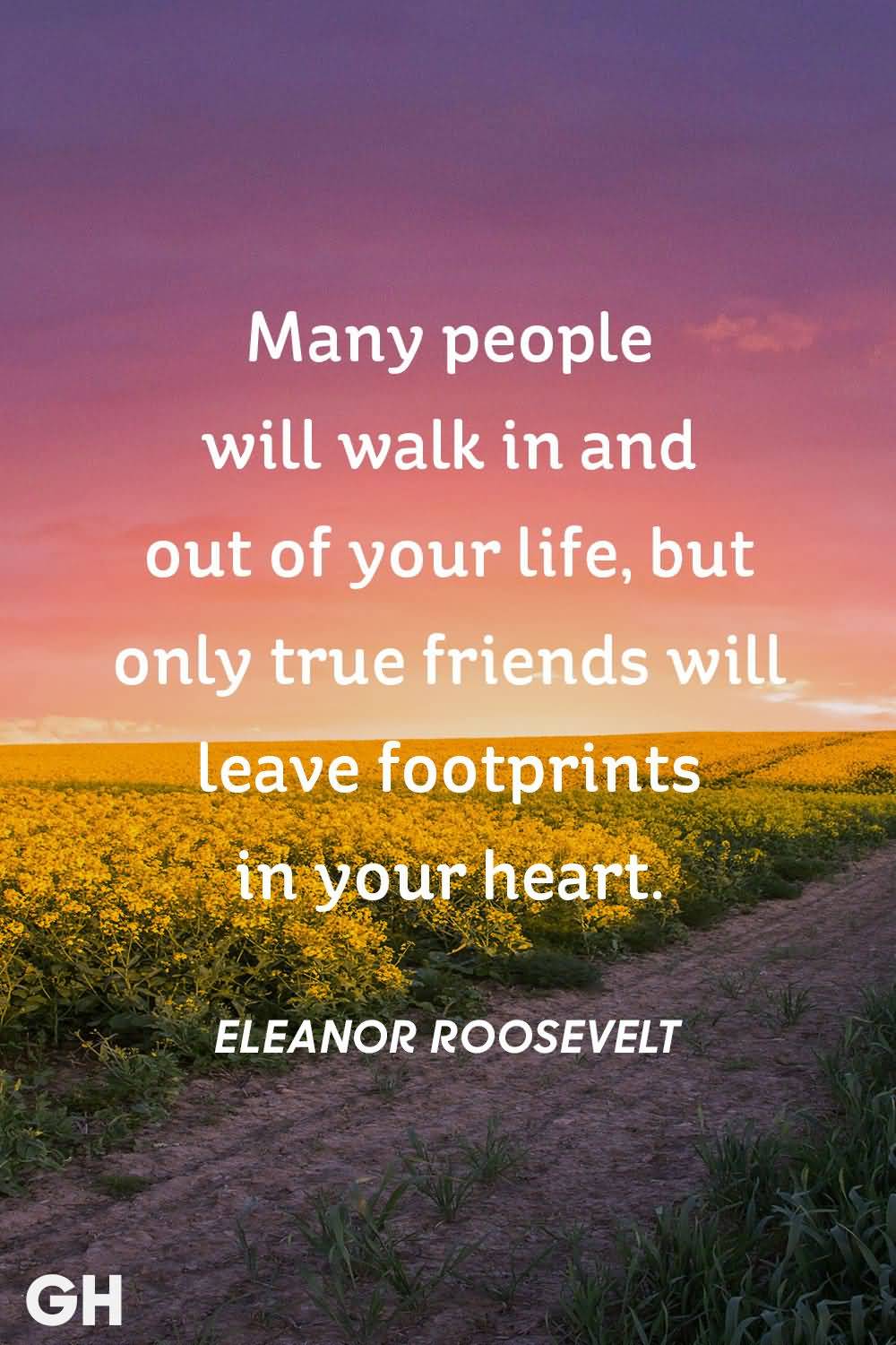 Many People Will Walk True Friendship Quotes