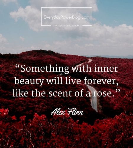 Something With Inner Beauty Inspirational Nature Quotes and Sayings