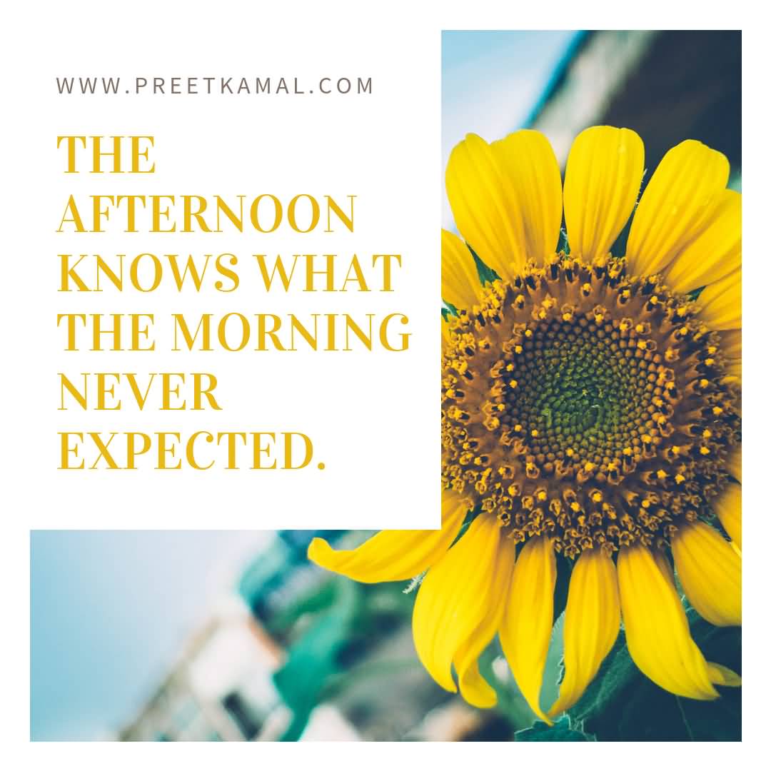 The Afternoon Knows What Short Nature Quotes