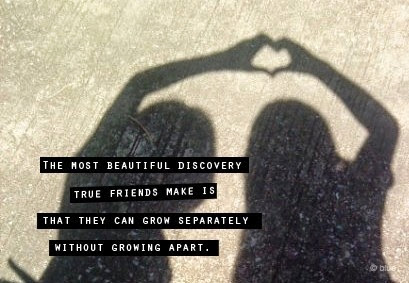 The Most Beautiful Discovery True Friendship Quotes