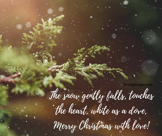 The Snow Gently Falls Christmas Quotes