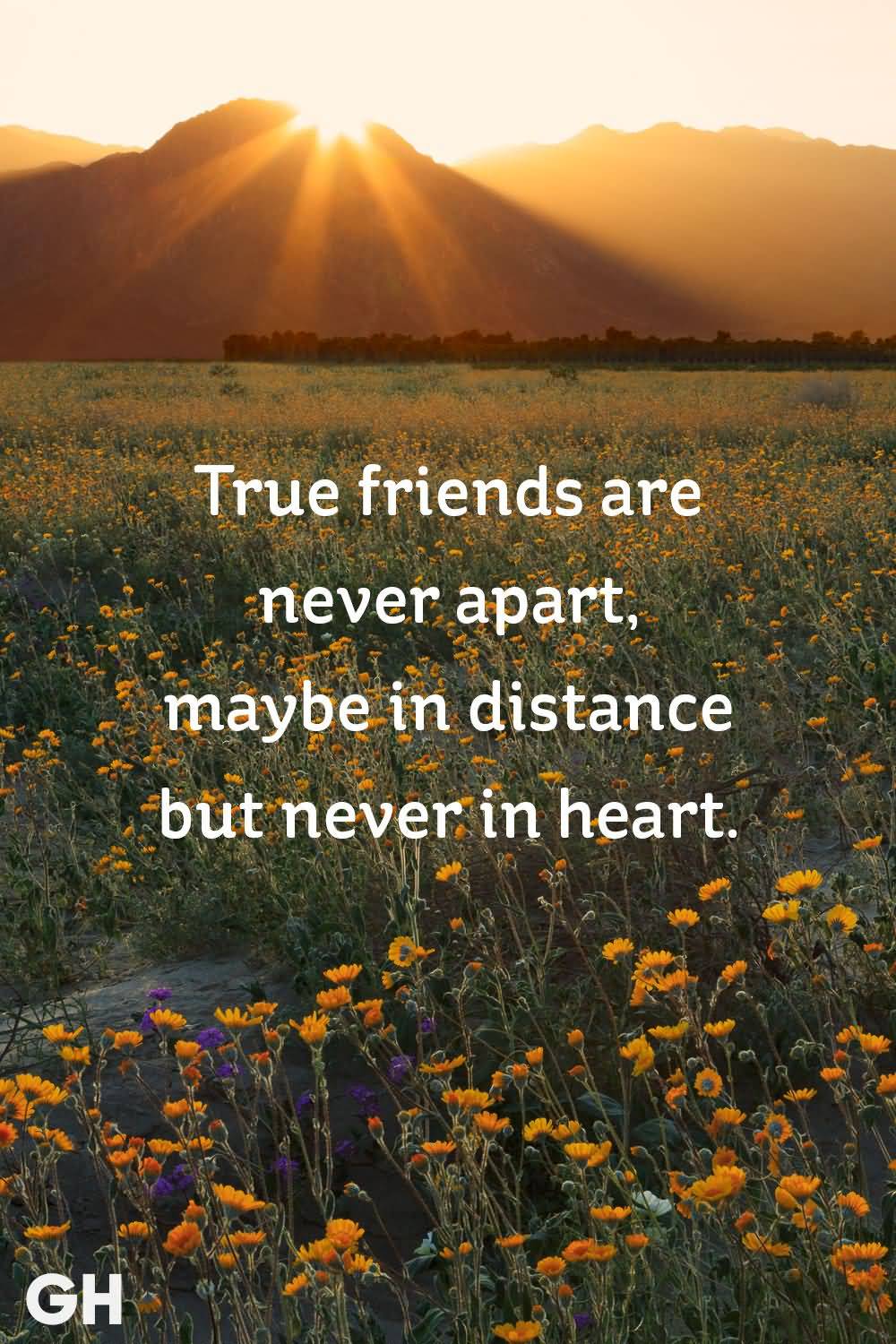 cute friend quotes