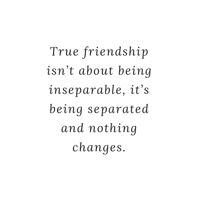 True Friendship Isn't About True Friendship Quotes