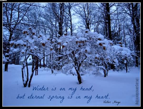 Winter is on my head but Nature and Earth Quotes