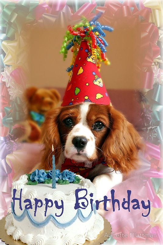 Happy birthday cute dog wallpaper to Godchild