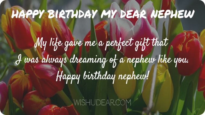 Happy Birthday my dear Nephew colorful tulip flowers background with lovely messages