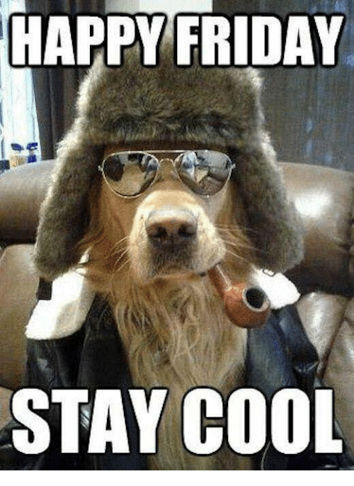 Happy Friday Stay Cool Friday Meme