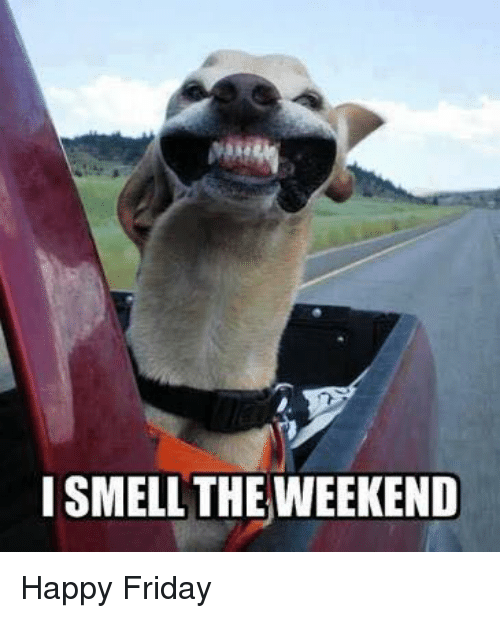 I Smell The Weekend Friday Meme