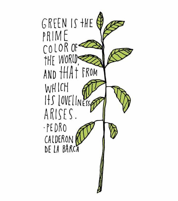 Green Is The Prime Color Of Plant Quotes