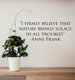 I Firmly Believe That Nature Plant Quotes