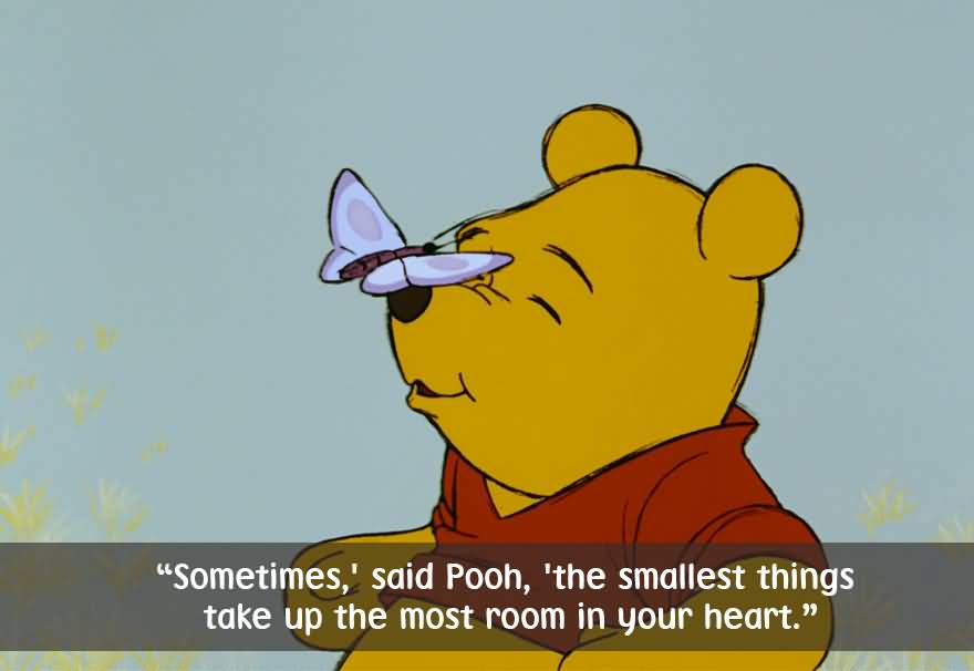 Sometimes Said Pooh The Winnie The Pooh Quotes