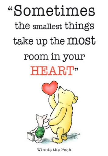 Sometimes The Smallest Things Winnie The Pooh Quotes