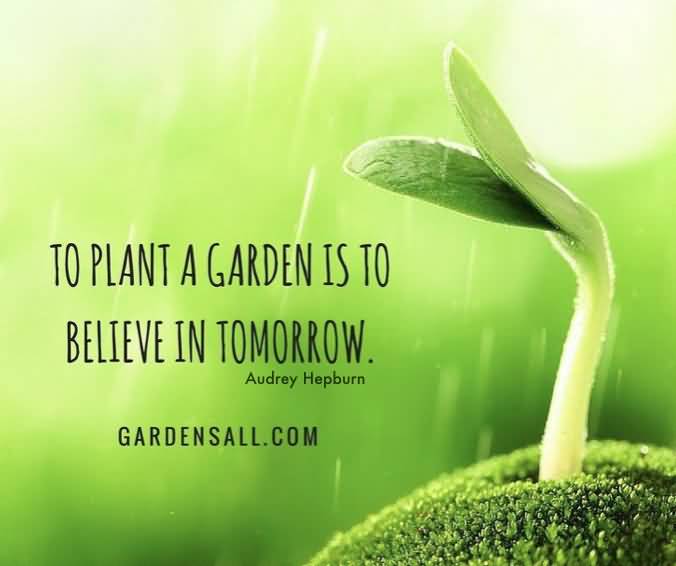 To Plant A Garden Is To Believe Plant Quotes