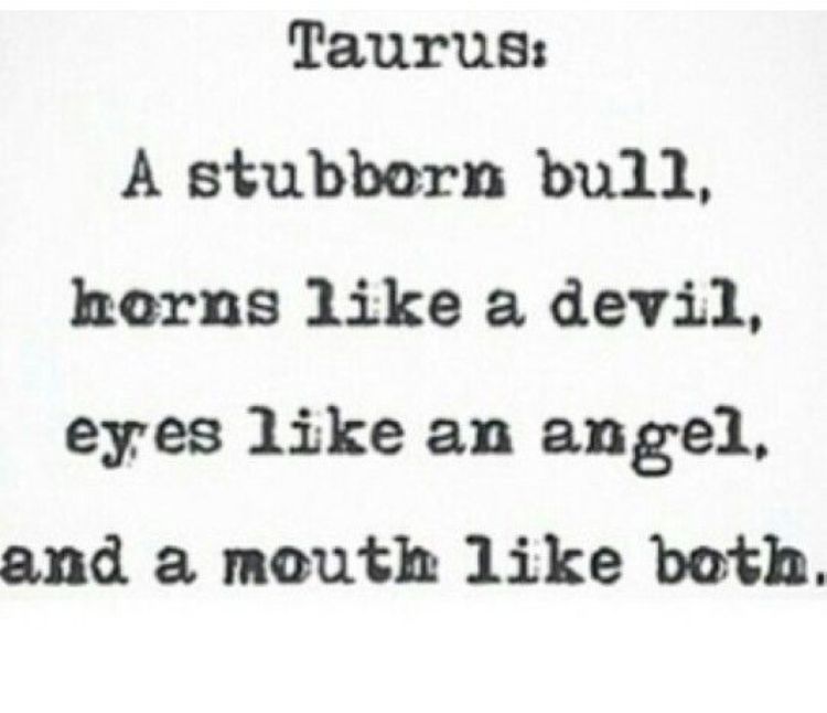 A Stubborn Bull Horns Taurus Memes