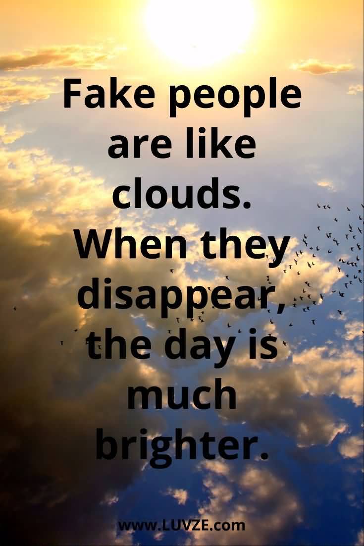 Fake People Are Like Fake Family Quotes