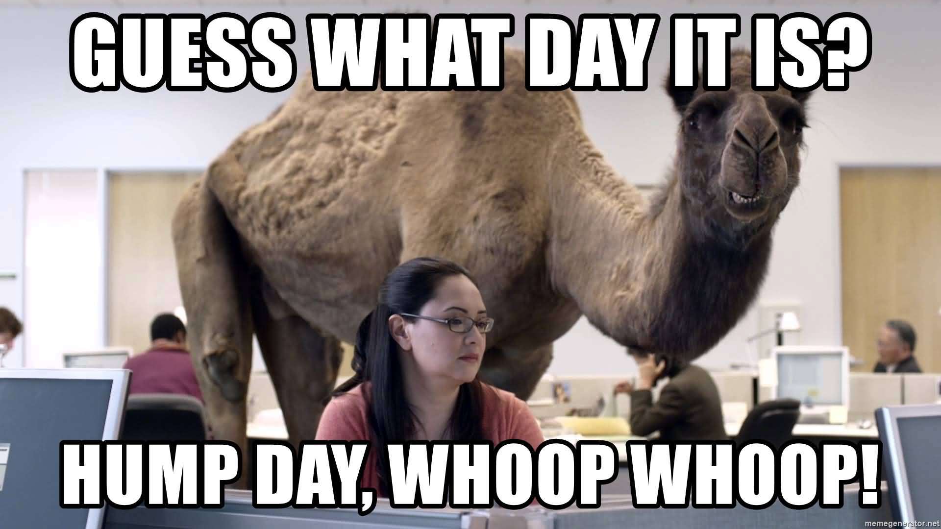 Guess What Day It Is Hump Day Meme