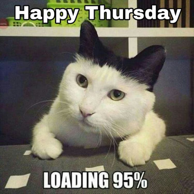 Happy Thursday Loading 95% Thursday Meme