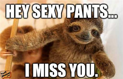 Het Sexy Pants I Miss You Love Memes