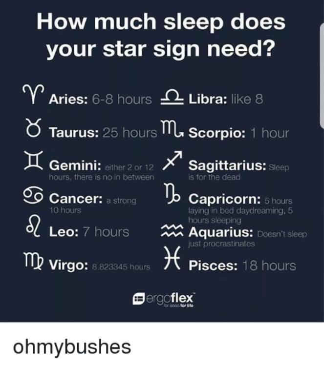 How Much Sleep Does Taurus Memes