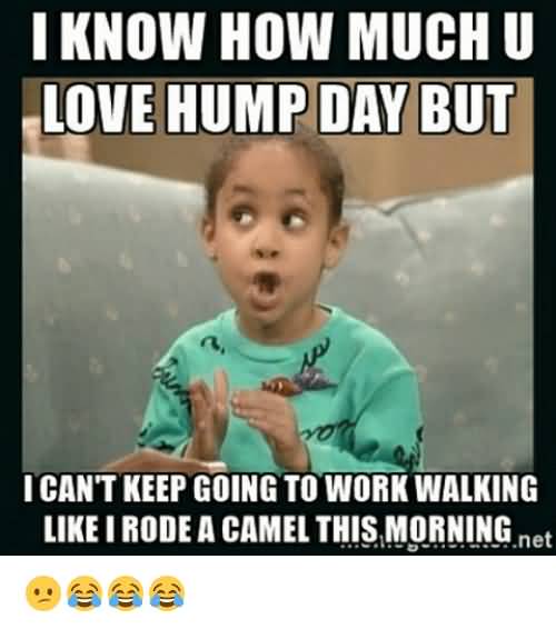 I Know How Much Hump Day Meme