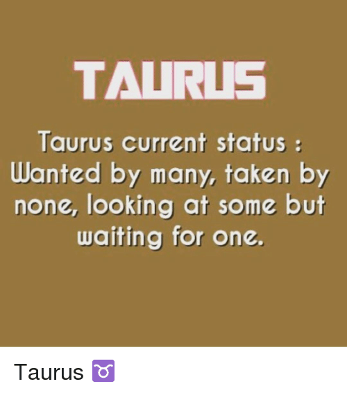 Taurus Current Status Wanted Taurus Memes