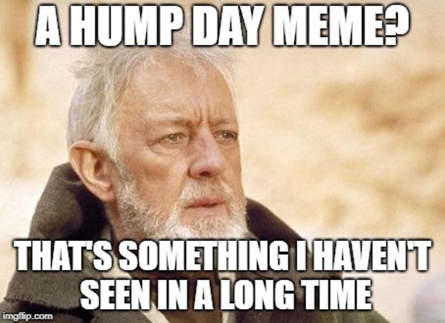 That's Something I Haven't Seen Hump Day Meme