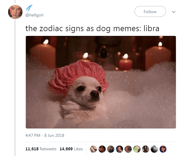 The Zodiac Signs As Dog Libra Memes