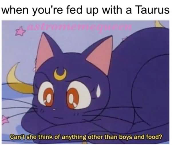 When You're Fed Up Taurus Memes