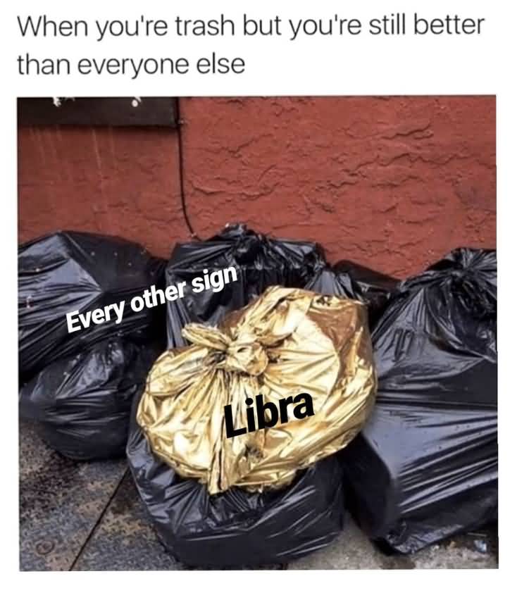 When You're Trash But Libra Memes