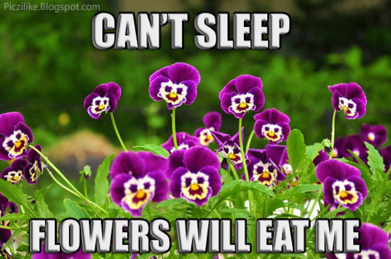 Can't Sleep Flowers Will Flower Meme