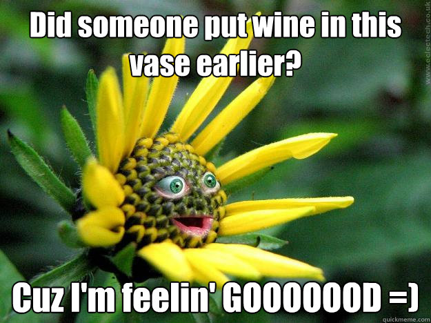 Did Someone Put Wine Flower Meme