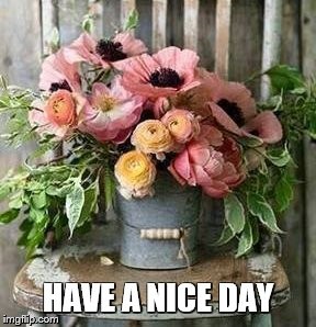 Have A Nice Day Flower Meme