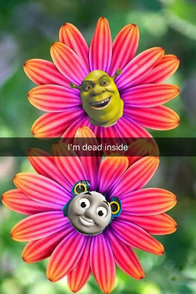 I'm Dead Inside Flower Meme