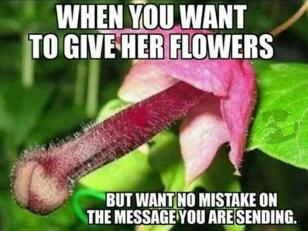 When You Want To Flower Meme