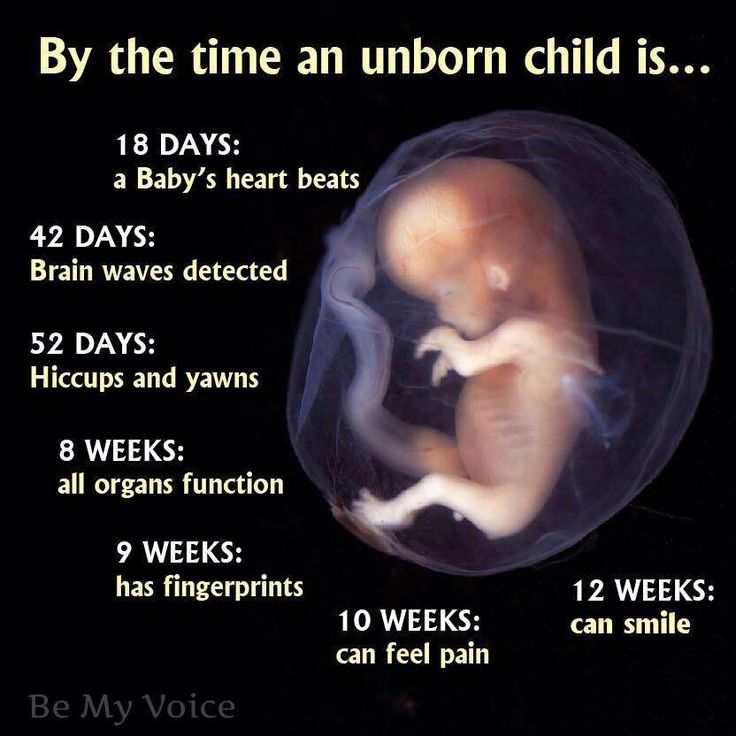By The Time An Unborn unborn baby quotes for daddy