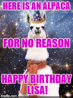 Alpaca For No Reason Happy Birthday Lisa Meme