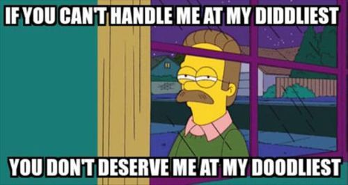 If You Can't Handle Ned Flanders Quotes