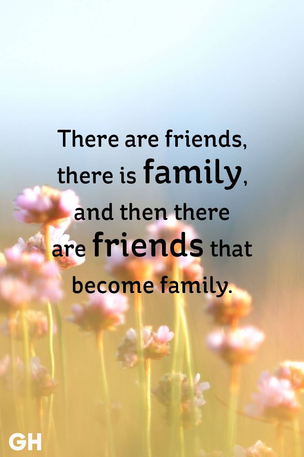 There Are Friends There Is Friendship Quotes