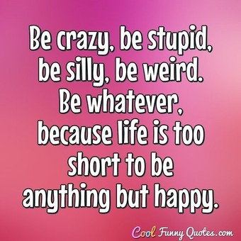 Be Crazy Be Stupid