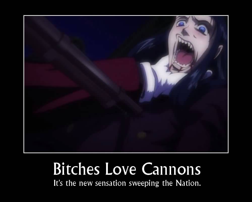 Bitches Love Cannons It's Hellsing Abridged Quotes