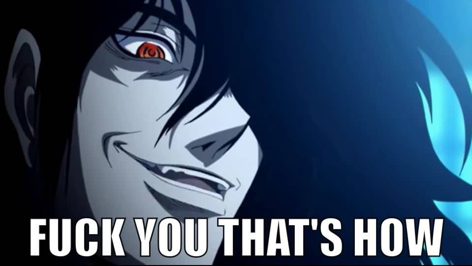 Fuck You That's How Hellsing Abridged Quotes