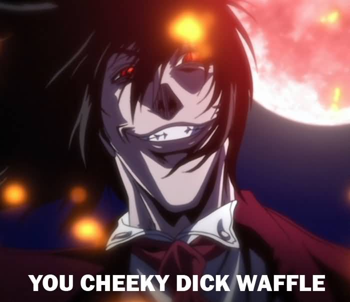 You Cheeky Dick Waffle Hellsing Abridged Quotes